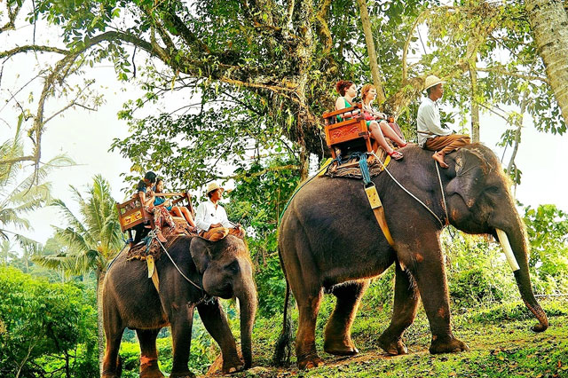 munnar tourist destination 