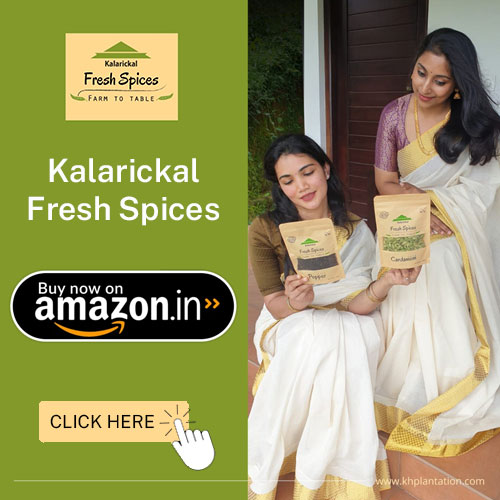 best place to buy spices online
